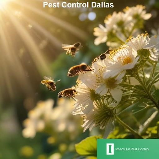Our Pest Control Services in Dallas - InsectOut Pest Control Dallas