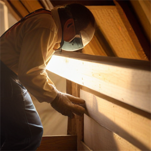 Termite Treatment