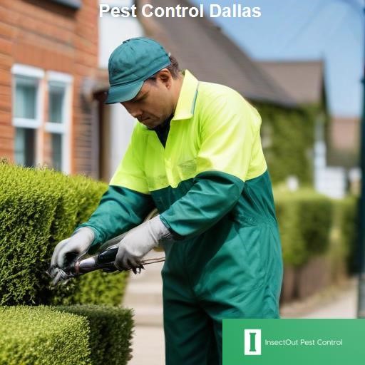 Understanding Dallas Pest Problems - InsectOut Pest Control Dallas