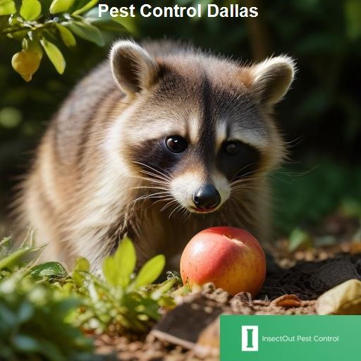 Why Choose Our Dallas Pest Control Services - InsectOut Pest Control Dallas