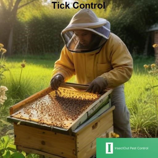 InsectOut Pest Control Tick Control